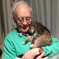 foto kramiek en website